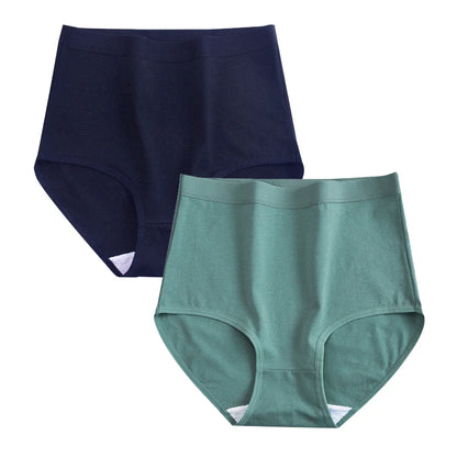 FallSweet 2 Pcs/Lot Cotton Underwear Women High Waist Panties Comfortable Solid Color Underpants Plus Size Lingerie M-XXXL