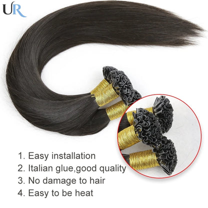 Human Hair U Tip Hair Wig 12inch 50 strands Wholesale Price Dropship Color #4 #27 Hair Extensions