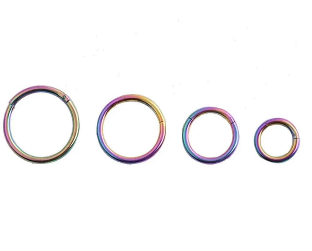 5pc Nose Rings Hoop Hinged Clicker Segment Nose Rings Ear Cartilage Ring Clip Stainless Steel Ear Nose Ring Body Jewelry Gift