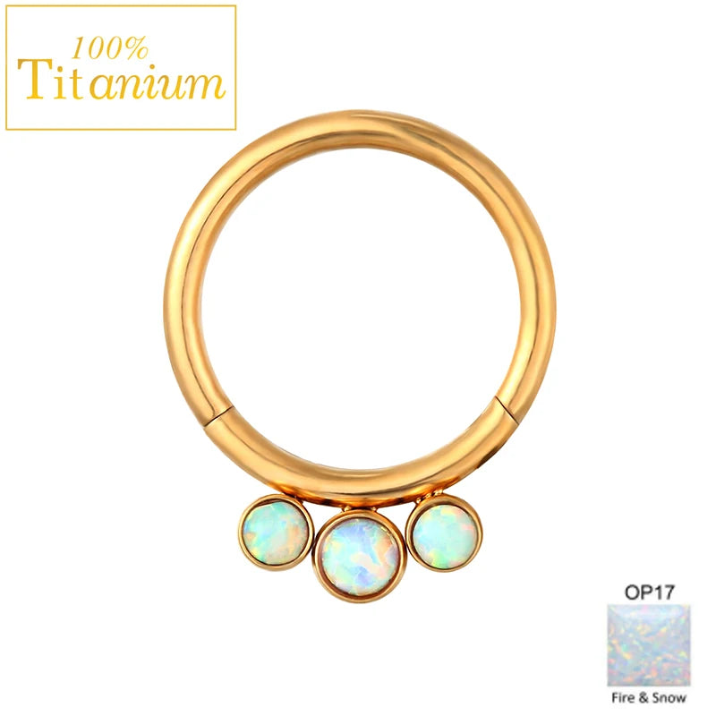 Anneaux de nez en titane G23, clicker de septum articulé, segment pour l'oreille, le tragus, le cartilage, l'hélix, le daith, le piercing labial, bijoux, boucles d'oreilles dorées