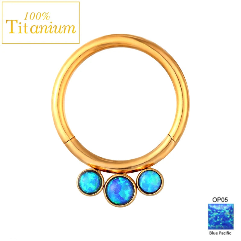 Anneaux de nez en titane G23, clicker de septum articulé, segment pour oreille, tragus, cartilage, hélix, daith, lèvre, bijoux de piercing, boucles d'oreilles dorées