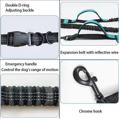 Double Elastic Reflective Running Leash Portable Retractable Dog Leash Dog Chain Leash Pet Supplies Wholesale